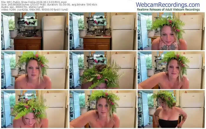 2024/06/13/mfc-ailia-03-35-01