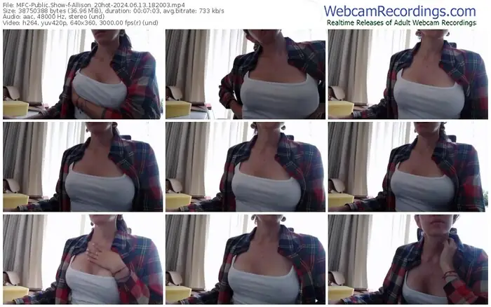 2024/06/13/mfc-allison_20hot-18-20-03