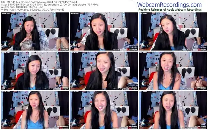 2024/06/13/mfc-cosmicneko-20-45-57