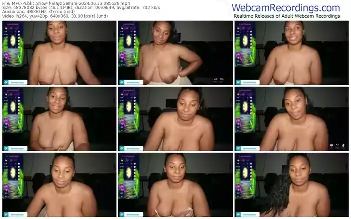 2024/06/13/mfc-slayzgemini-08-55-29