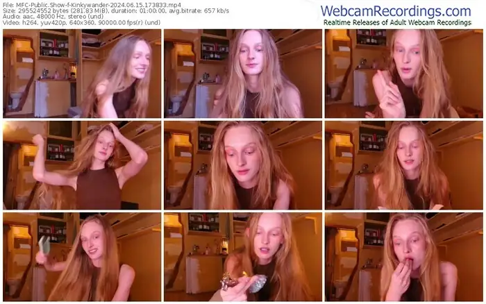 2024/06/15/mfc-kinkywander-17-38-33