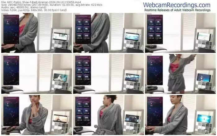 2024/06/16/mfc-badlibrarian-13-30-59