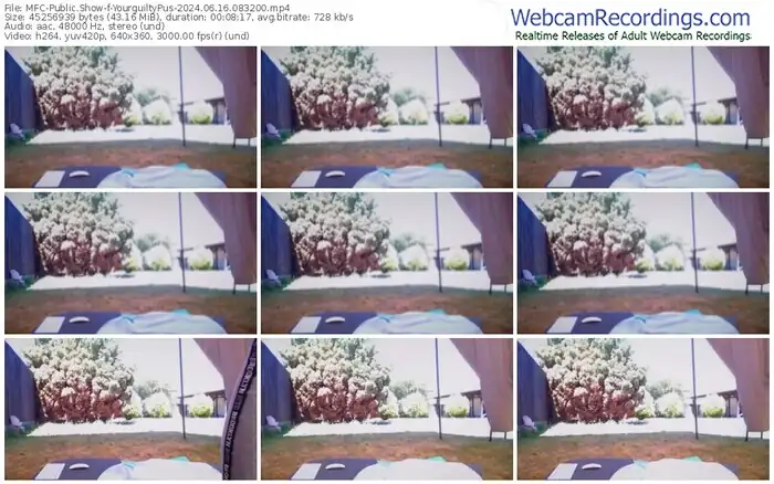 2024/06/16/mfc-yourguiltypus-08-32-00