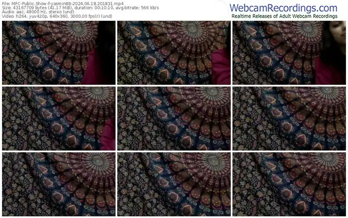 2024/06/18/mfc-yasmin88-20-18-31