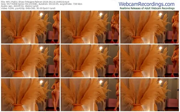 2024/06/19/mfc-meganxpalmer-19-49-18
