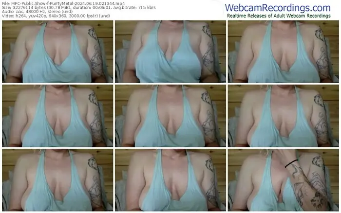 2024/06/19/mfc-purrtymetal-02-13-44
