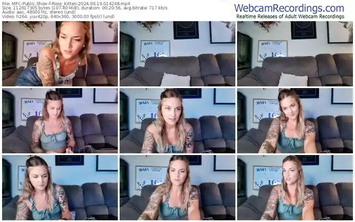 2024/06/19/mfc-rose_kitten-01-42-48