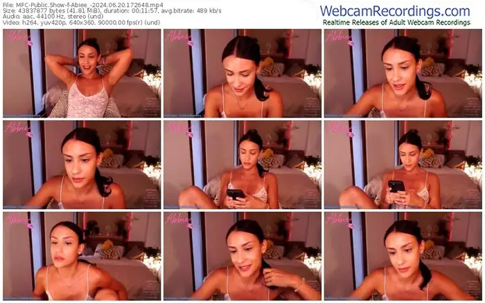 2024/06/20/mfc-abiee_-17-26-48