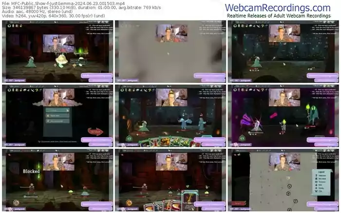 2024/06/23/mfc-justgemma-00-15-03