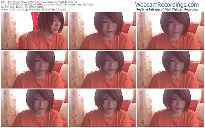 2024/06/23/mfc-maneki_neko-04-40-52