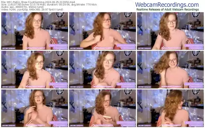 2024/06/25/mfc-justgemma-01-39-50