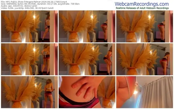 2024/06/26/mfc-meganxpalmer-17-58-33