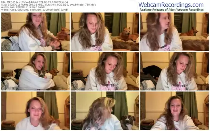 2024/06/27/mfc-ailia-07-09-22