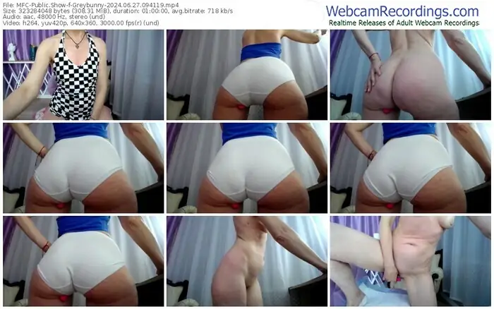 2024/06/27/mfc-greybunny-09-41-19