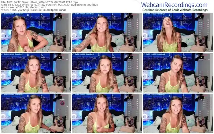 2024/06/29/mfc-rose_kitten-01-42-16