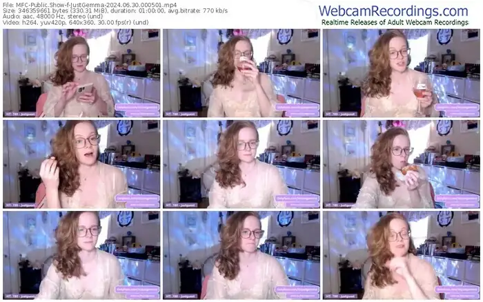 2024/06/30/mfc-justgemma-00-05-01