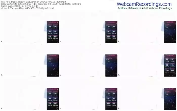 2024/07/01/mfc-badlibrarian-15-40-09