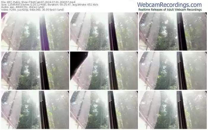 2024/07/01/mfc-testcam97-20-41-57
