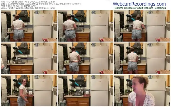 2024/07/03/mfc-ailia-09-06-12