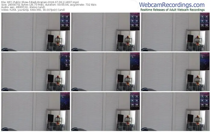 2024/07/06/mfc-badlibrarian-11-40-07