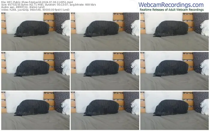 2024/07/06/mfc-kelywild-11-43-51