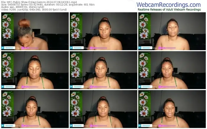 2024/07/08/mfc-slayzgemini-04-33-11