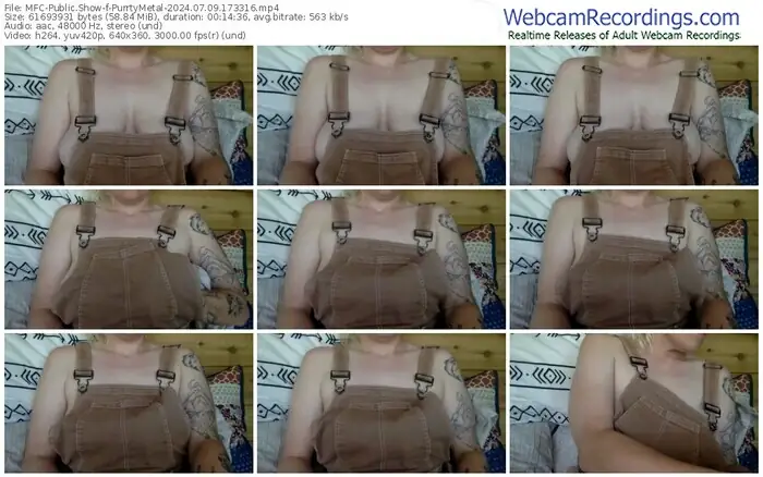 2024/07/09/mfc-purrtymetal-17-33-16