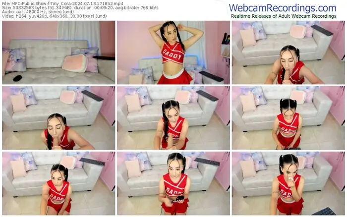 2024/07/13/mfc-tiny_cora-17-18-52