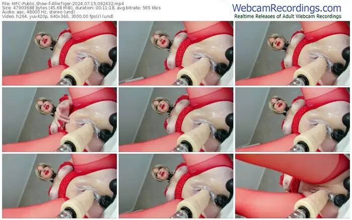 2024/07/15/mfc-allietiger-09-24-32