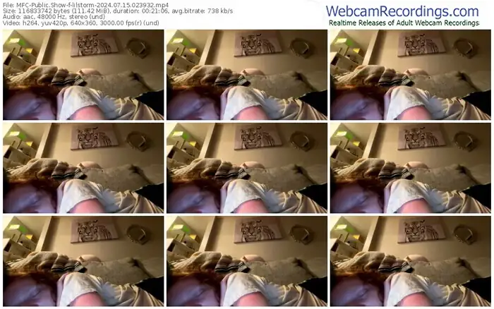 2024/07/15/mfc-lilstorm-02-39-32