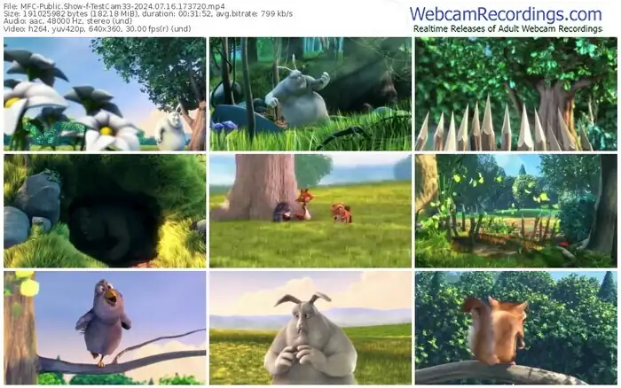 2024/07/16/mfc-testcam33-17-37-20