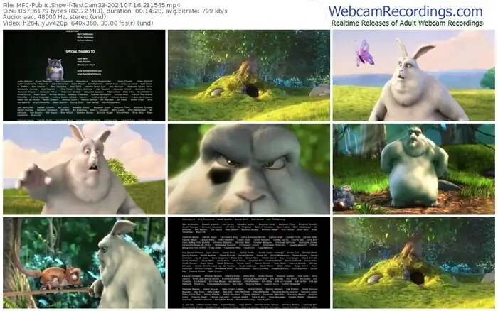 2024/07/16/mfc-testcam33-21-15-45