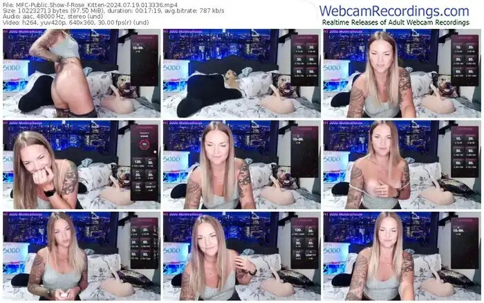 2024/07/19/mfc-rose_kitten-01-33-36