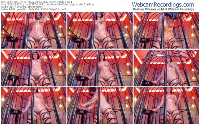 2024/07/20/mfc-eva_bdsm-09-04-52