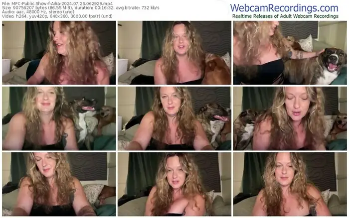 2024/07/26/mfc-ailia-06-29-29