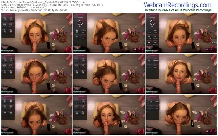 2024/07/26/mfc-redhead_shark-22-55-55