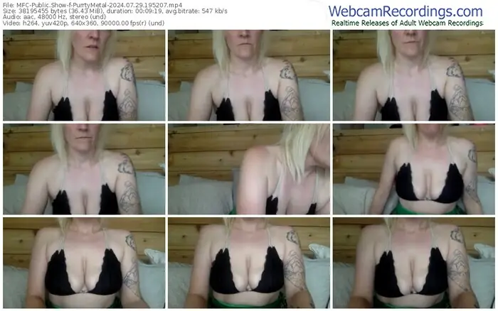 2024/07/29/mfc-purrtymetal-19-52-07