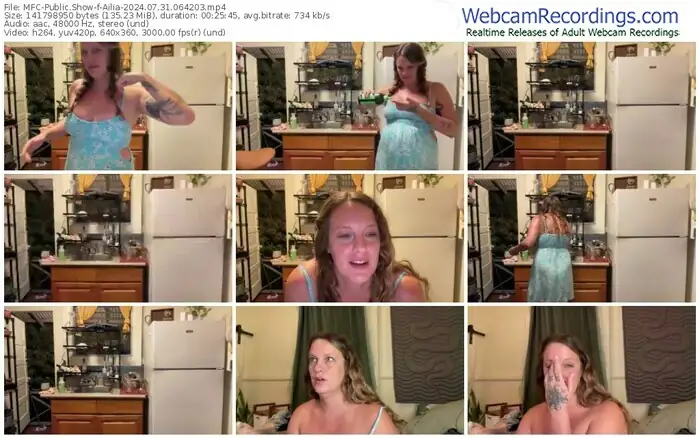 2024/07/31/mfc-ailia-06-42-03