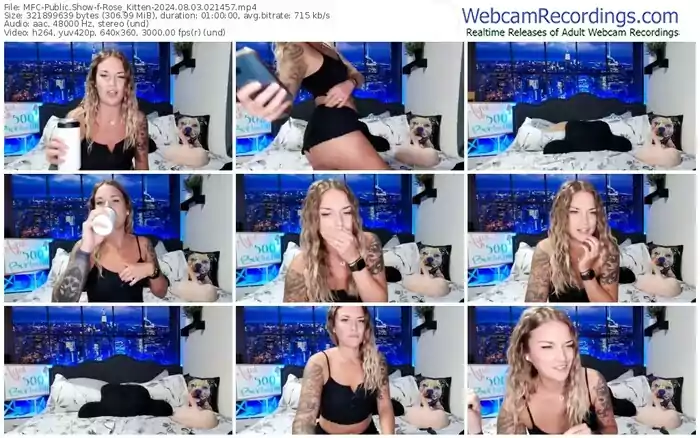 2024/08/03/mfc-rose_kitten-02-14-57