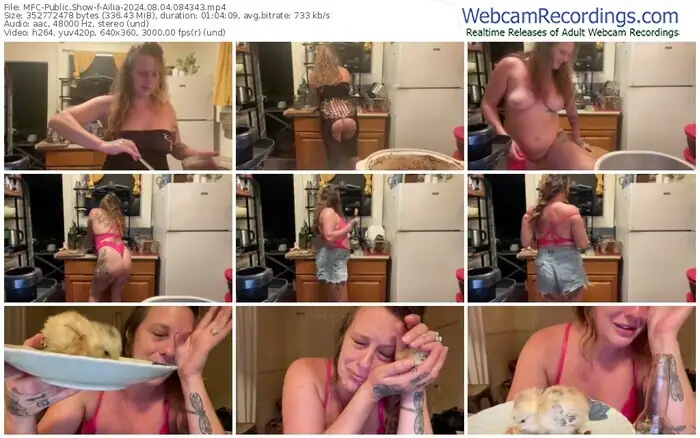 2024/08/04/mfc-ailia-08-43-43