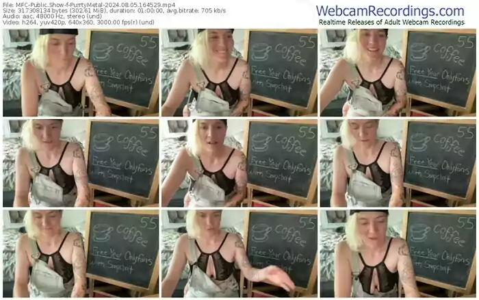 2024/08/05/mfc-purrtymetal-16-45-29