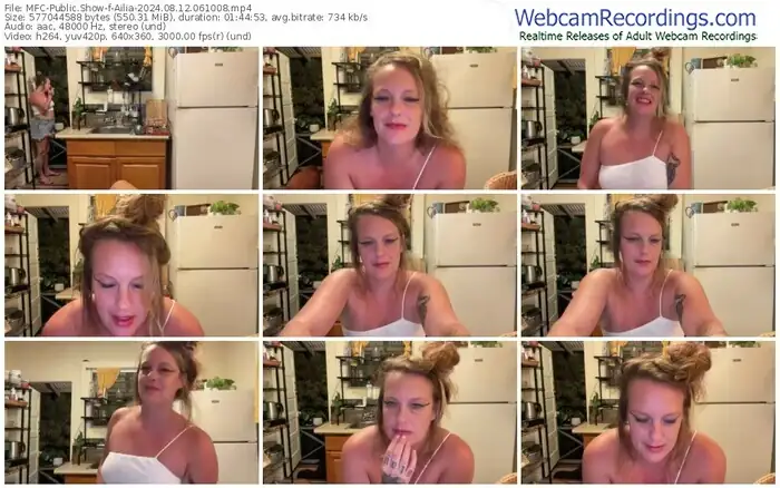 2024/08/12/mfc-ailia-06-10-08