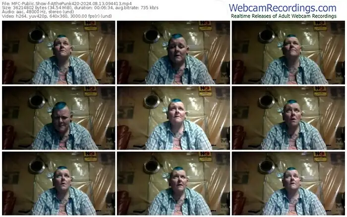 2024/08/13/mfc-ajthepunk420-09-44-13