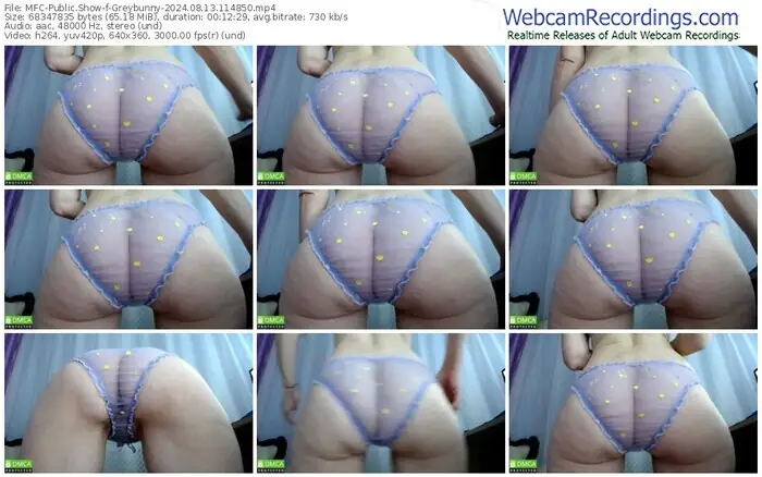 2024/08/13/mfc-greybunny-11-48-50