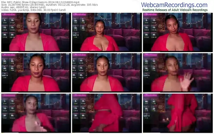 2024/08/13/mfc-slayzgemini-03-48-26