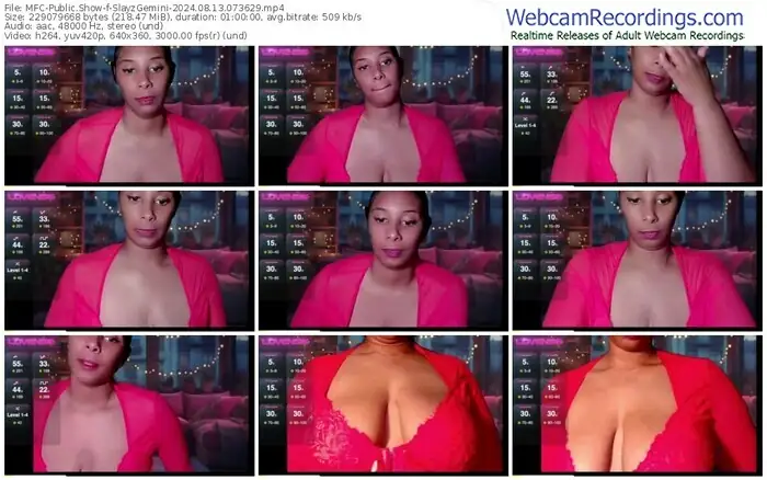 2024/08/13/mfc-slayzgemini-07-36-29