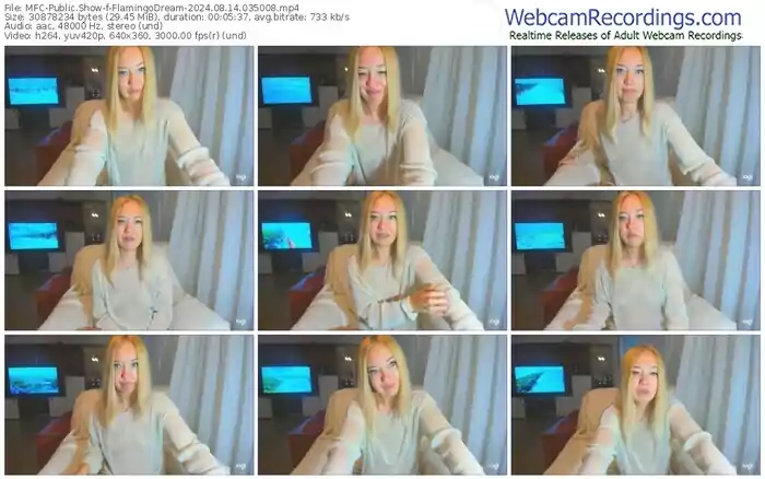 2024/08/14/mfc-flamingodream-03-50-08