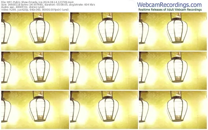 2024/08/14/mfc-kaida_ice-12-37-49