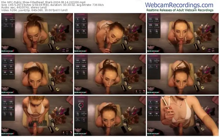 2024/08/14/mfc-redhead_shark-22-22-00