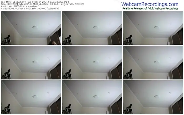 2024/08/15/mfc-pameheaven-13-52-53